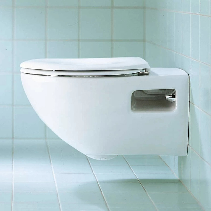 Duravit Duraplus Сиденье для унитаза, с микролифтом, цвет: сталь/белый глянцевый