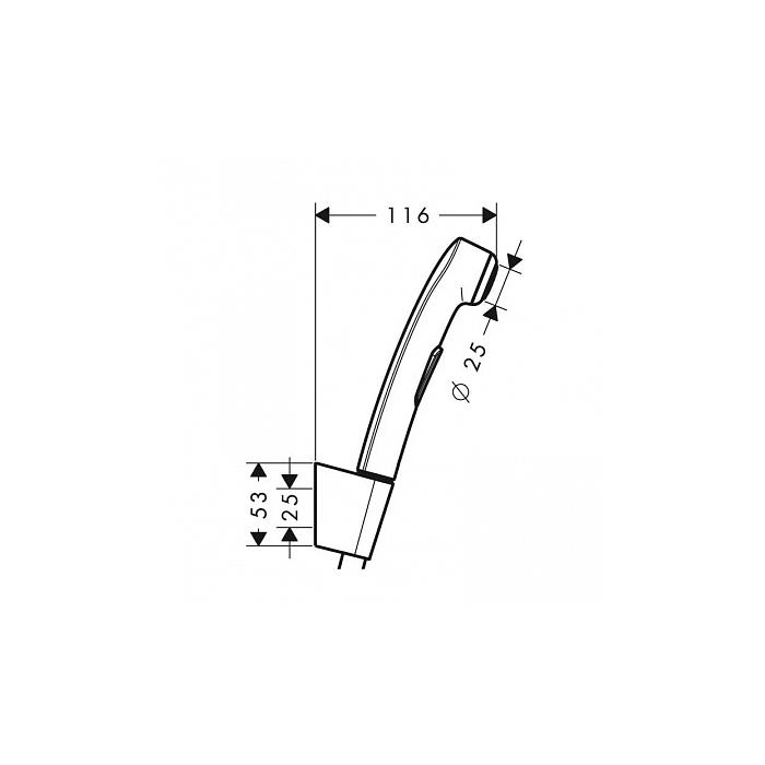 Hansgrohe Team compac Гигиенический душ с настенным держателем, цвет: хром