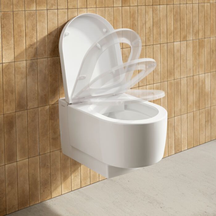 Duravit Balcoon Сиденье для унитаза, с микролифтом, цвет: сталь/белый глянцевый