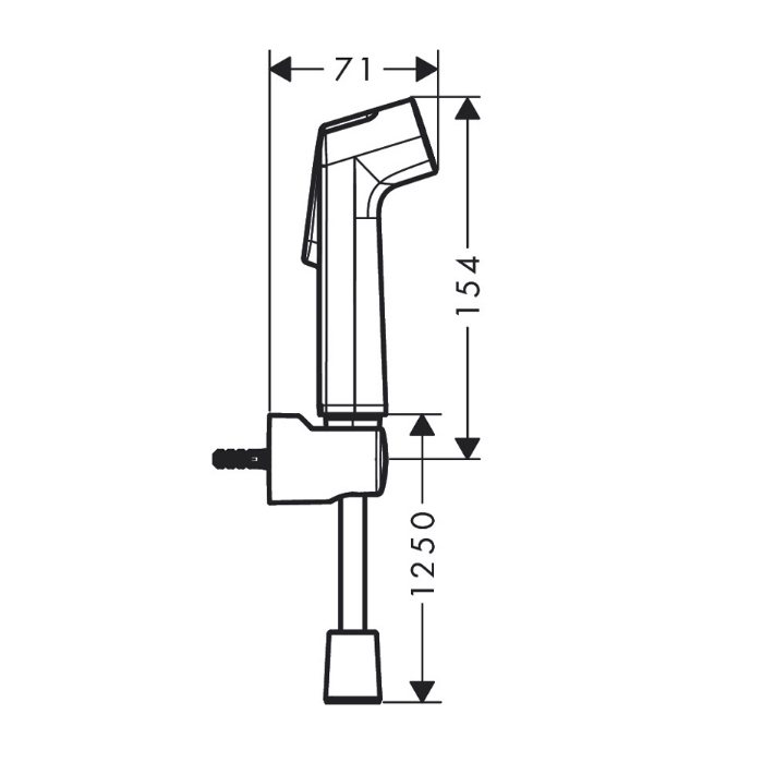 Hansgrohe Гигиенический душ, настенный, 1 jet, цвет: хром