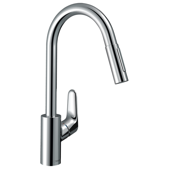 Hansgrohe Focus Смеситель для кухни, на 1 отв., цвет: хром