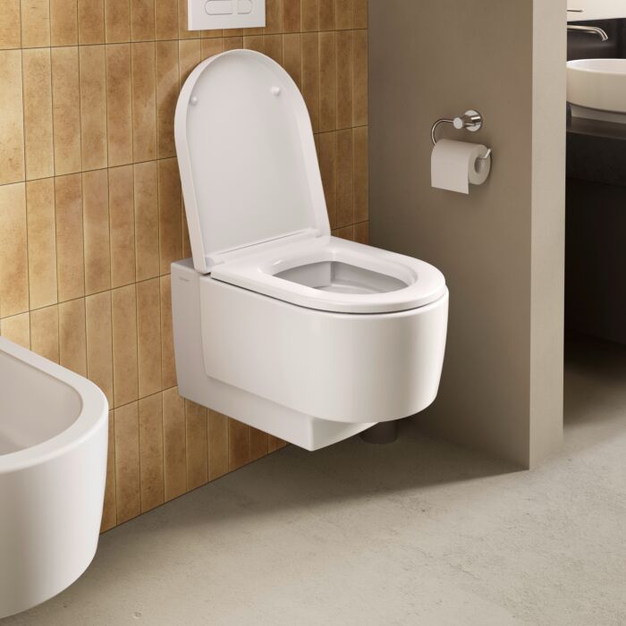 Duravit Balcoon Сиденье для унитаза, с микролифтом, цвет: сталь/белый глянцевый