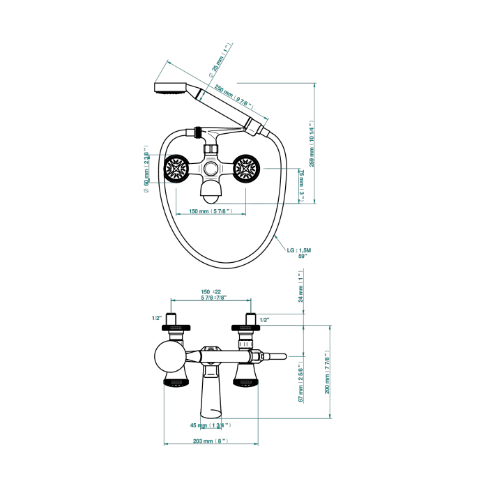 THG Hirondelles Смеситель для ванны, настенный, с ручным душем, цвет: Gold color PVD