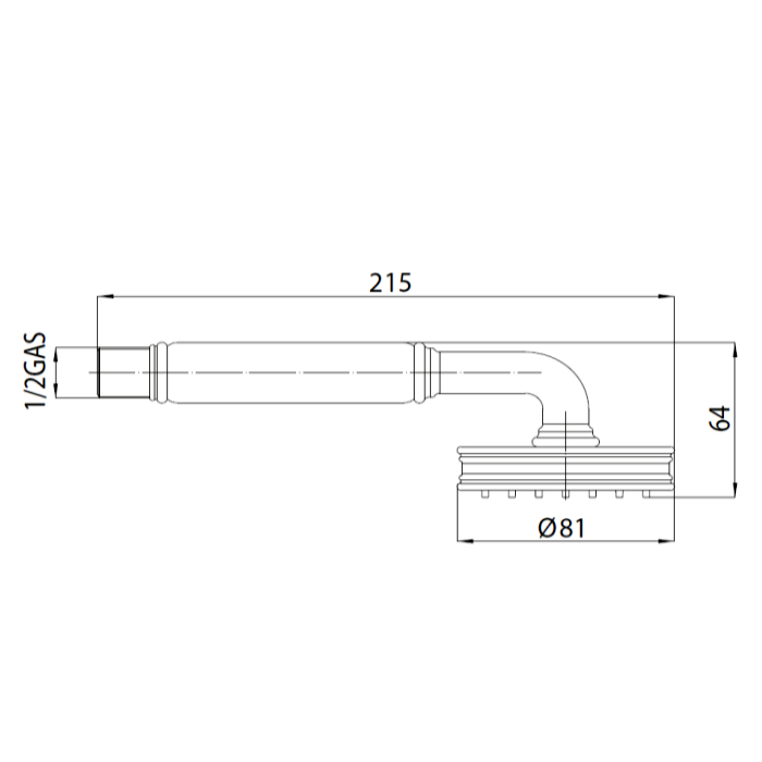 Bossini Liberty Ручной душ Ø8.1см., настенный, цвет: никель матовый
