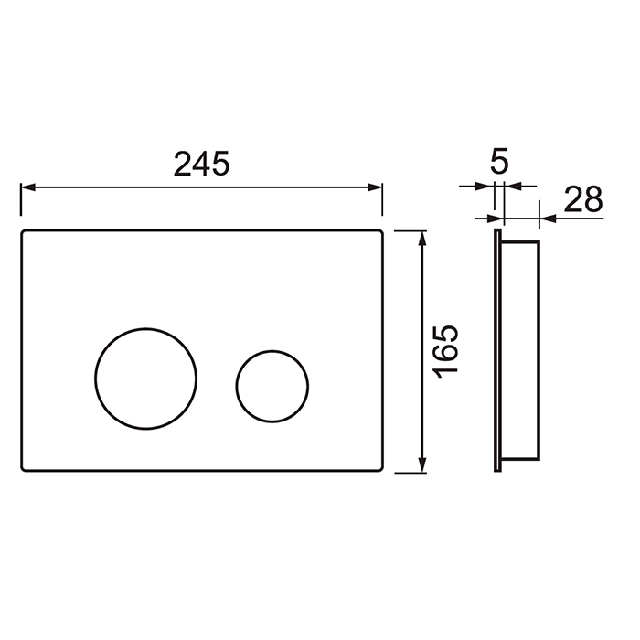 TECEspring LT Панель смыва из пластика для унитазов c двумя режимами смыва, цвет хром
