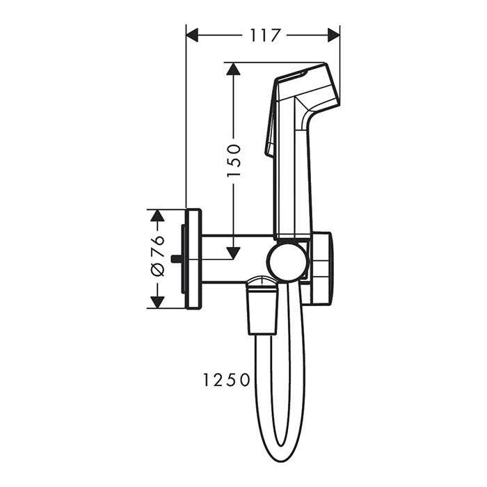 Hansgrohe Bidette E Гигиенический душ со смесителем, держатель, цвет: хром