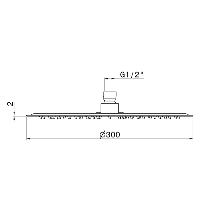 Newform Head Showers Верхний душ 30см, настенный/потолочный, h=2мм, цвет: нержавеющая сталь