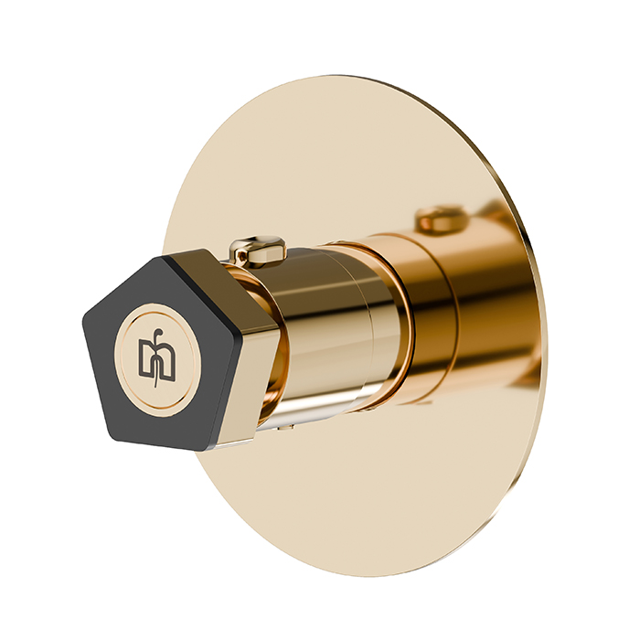 Newform ParkLE Смеситель для душа, встраиваемый, термостатический, цвет: PVD glossy gold/черный матовый