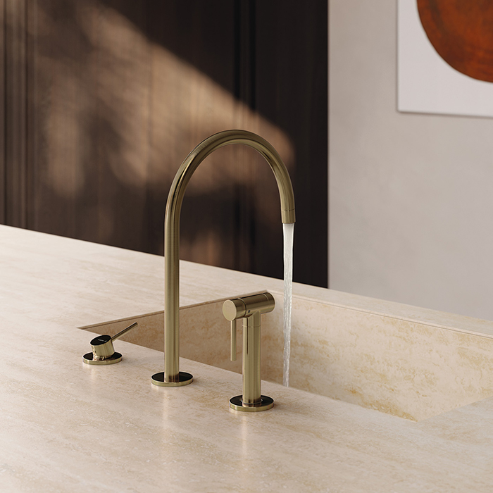Newform N21 Смеситель для кухни, 3 отв., с ручным душем, цвет: Brushed p. Gold