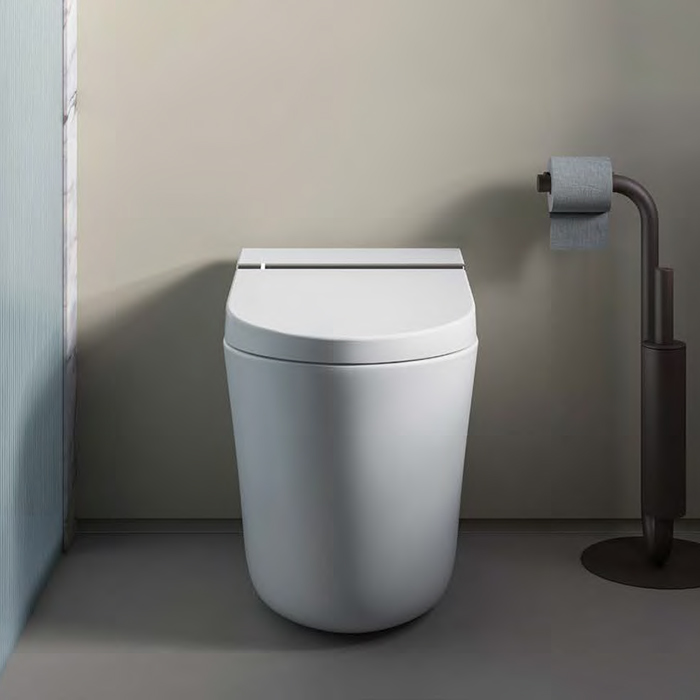 Artceram Hype Унитаз-биде 38х59см., напольный, безободковый, saniglaze, soft-close, с пультом управления, цвет: белый матовый