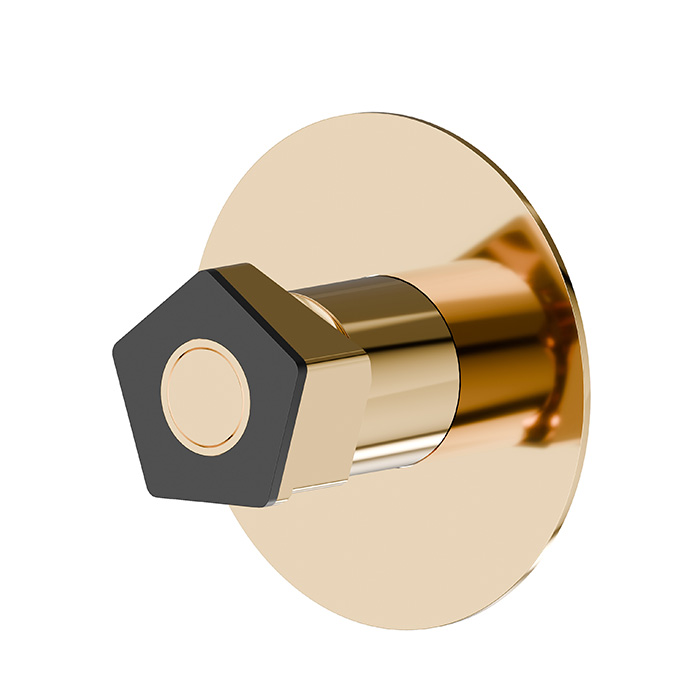 Newform ParkLE Смеситель для душа, встраиваемый, на 1 поток, цвет: PVD glossy gold/черный матовый