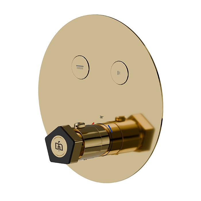 Newform ParkLE Смеситель для душа, встраиваемый, термостатический, на 2 потока, цвет: PVD glossy gold/черный матовый