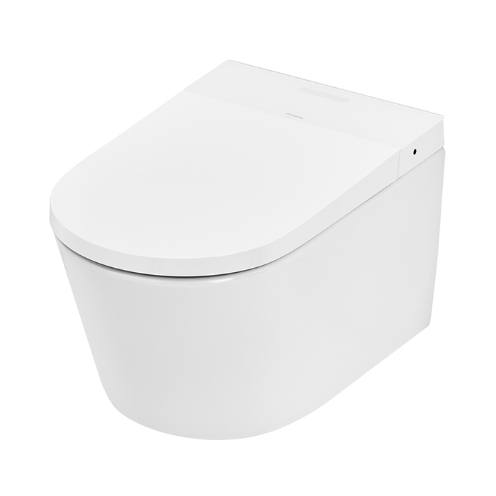 TECEspring Комплект: унитаз-биде модель Smart L, инсталяция, панель смыва loop, цвет: белый