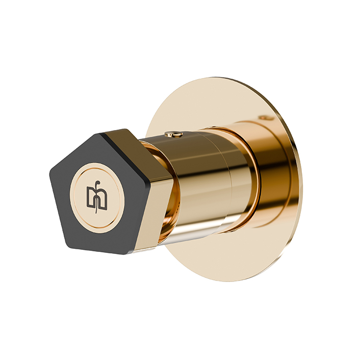 Newform ParkLE Запорный вентиль, настенный, цвет: PVD glossy gold/черный матовый