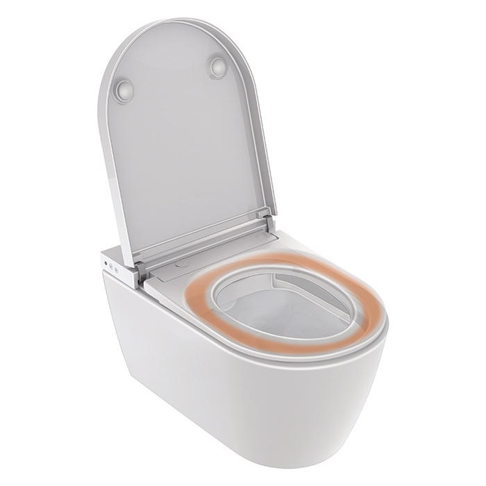 Duravit Starck F Plus Унитаз подвесной, безободковый, с сиденьем Sensowash Lite, инсталляцией и клавишей, покрытие Hygieneglaze, цвет: белый