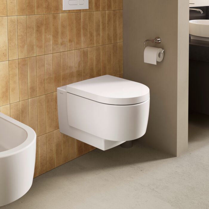 Duravit Balcoon Сиденье для унитаза, с микролифтом, цвет: сталь/белый глянцевый