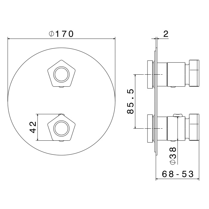 Newform ParkLE Смеситель для душа, встраиваемый, термостатический, цвет: PVD glossy gold/черный матовый
