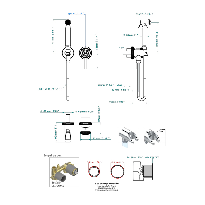 THG Hirondelles Platinum Stamped Гигиенический душ со встраиваемым смесителем, настенный, цвет: хром