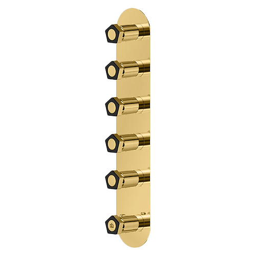 Newform ParkLE Смеситель для душа, встраиваемый, термостатический, на 5 потоков, цвет: PVD glossy gold/черный матовый