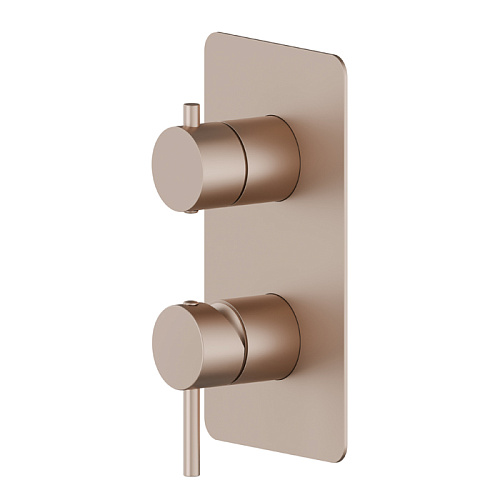 Newform X-Way Смеситель для душа, встраиваемый, 2 потока, внешняя часть, цвет: copper satin