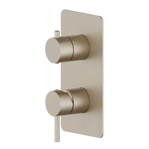 Newform X-Way Смеситель для душа, встраиваемый, 2 потока, внешняя часть, цвет: gold satin