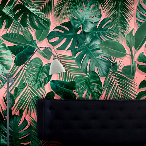 Palm Botanical