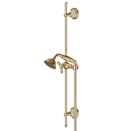 Newform Deluxe Душевой гарнитур: штанга, ручной душ, шланг 150 см, цвет: gold