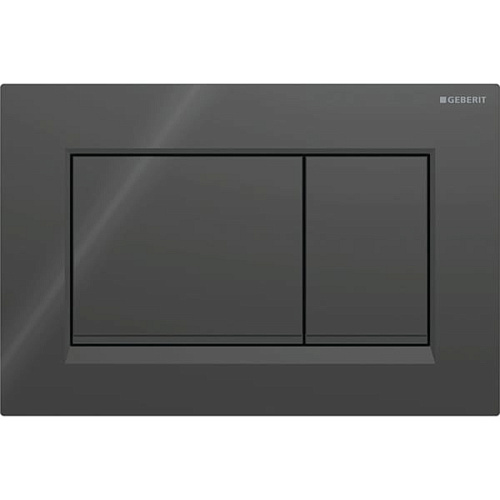 Geberit Sigma20 Клавиша для двойного смыва, квадратная, цвет: черный матовый