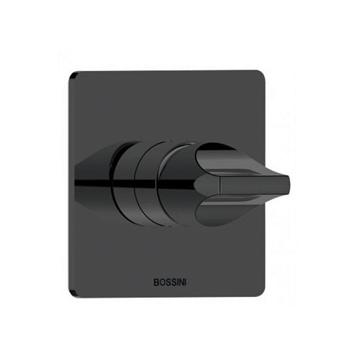 Bossini Apice Смеситель для душа, встраиваемый, цвет: черный матовый