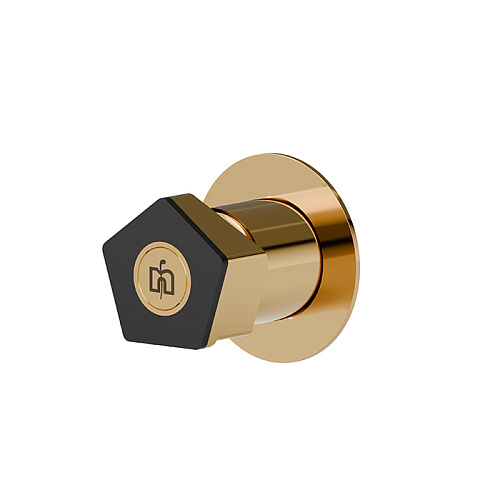 Newform ParkLE Смеситель для душа, встраиваемый, на 1 поток, цвет: PVD glossy gold/черный матовый