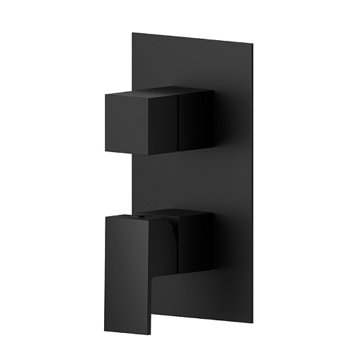 Newform Ergo Q Смеситель для душа, встраиваемый, 2 потока, внешняя часть, цвет: черный матовый