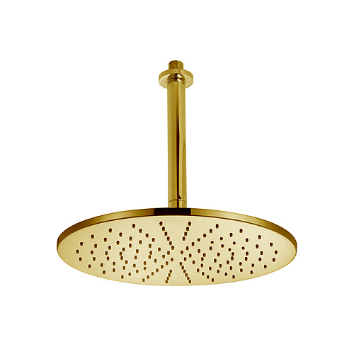 Cisal Shower Верхний душ, D30см, с потолочным держателем L18см, цвет: золото брашированное