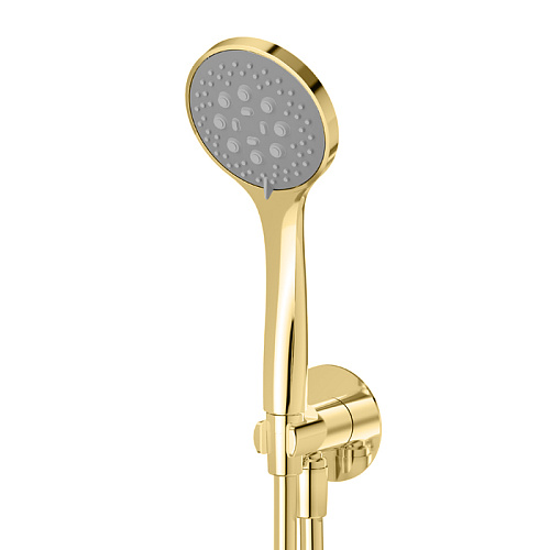 Newform Shower Ручная лейка D 10см., цвет: PVD Br. Gold