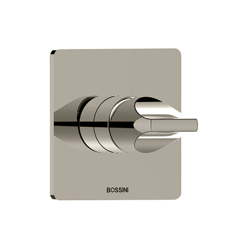 Bossini Apice Смеситель для душа, встраиваемый, цвет: брашированный никель