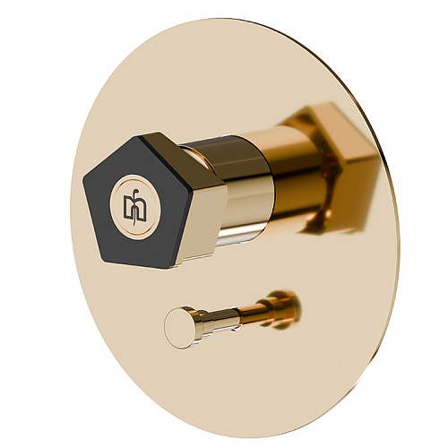 Newform ParkLE Смеситель для душа, встраиваемый, на 2 потока, цвет: PVD glossy gold/черный матовый